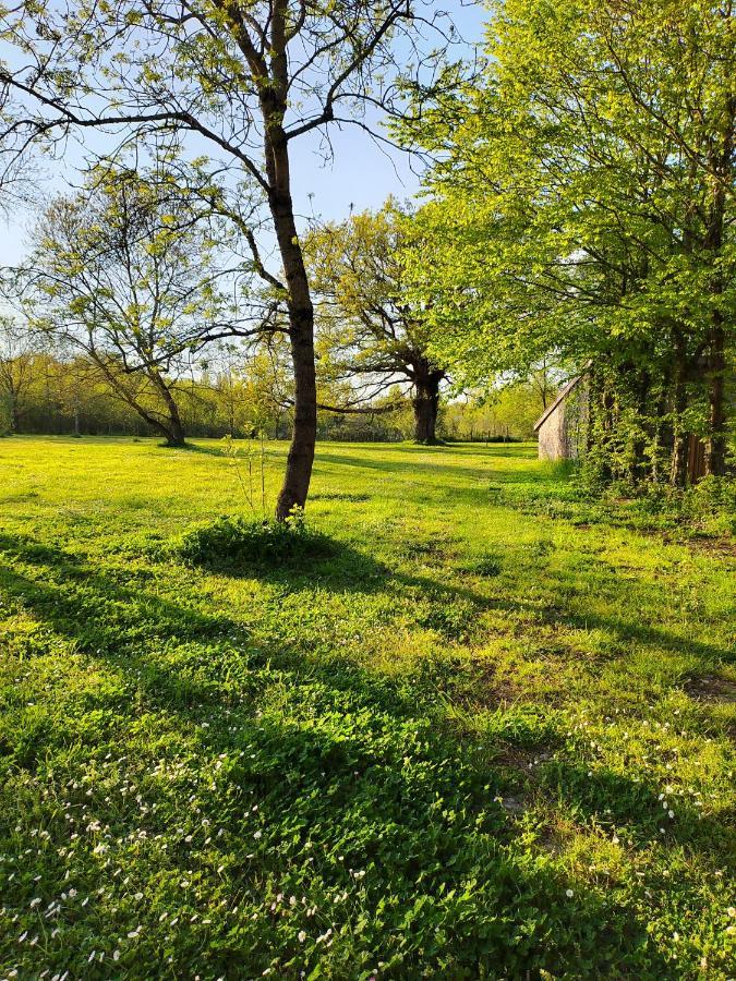 Gite De La Janiere Sainte-Luce-sur-Loire Zewnętrze zdjęcie