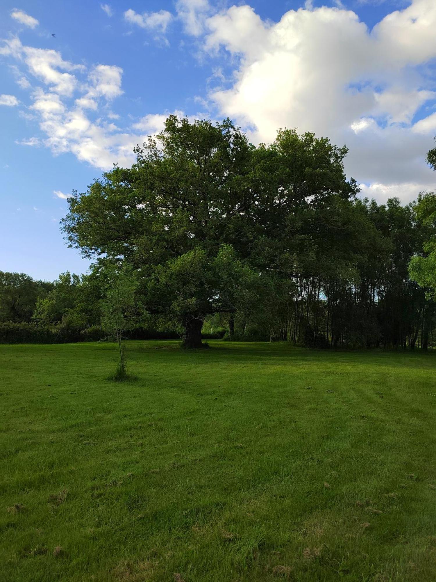 Gite De La Janiere Sainte-Luce-sur-Loire Zewnętrze zdjęcie