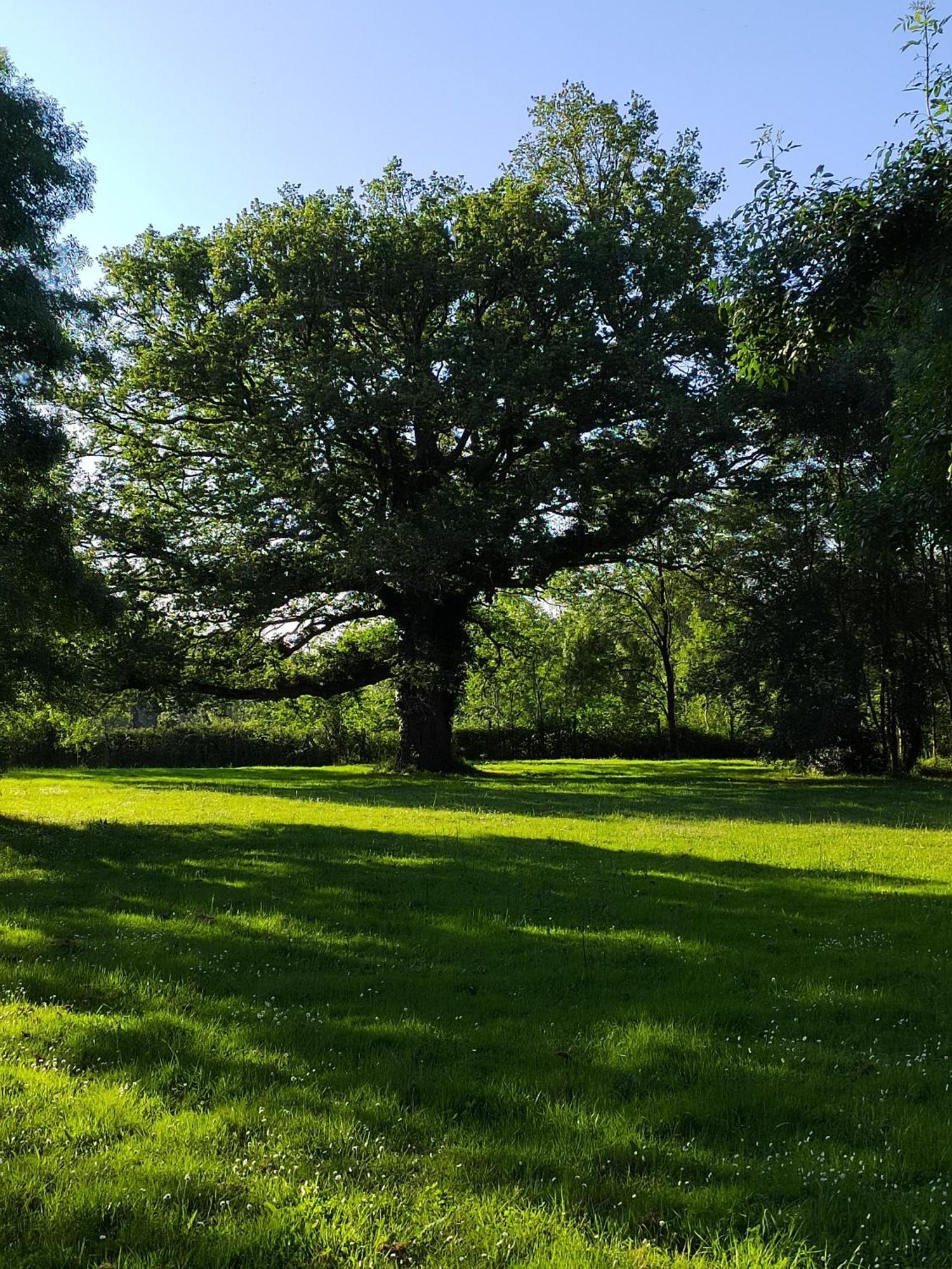Gite De La Janiere Sainte-Luce-sur-Loire Zewnętrze zdjęcie