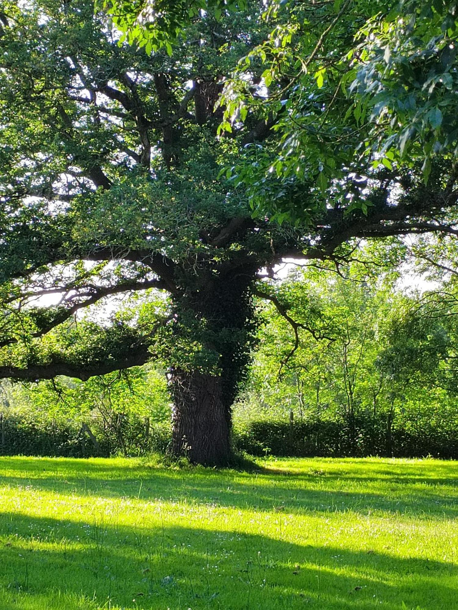 Gite De La Janiere Sainte-Luce-sur-Loire Zewnętrze zdjęcie